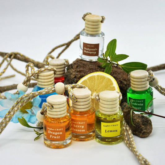 1/4/6Pcs Car Air Freshener Variety Pack Essential Oil Diffuser Hanging Deodorizer & Car Scent Diffuser Various Scents//